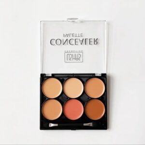 Paleta de 6 correctores en crema, modelo nº6